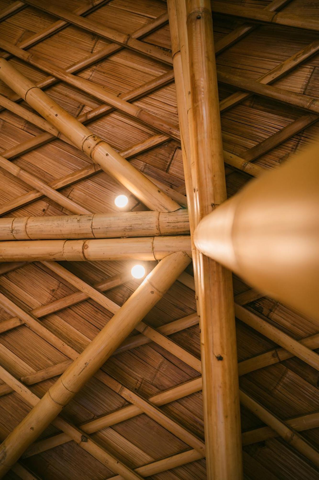 Alamvaya Bali Bamboo House Villa Sidemen  Dış mekan fotoğraf
