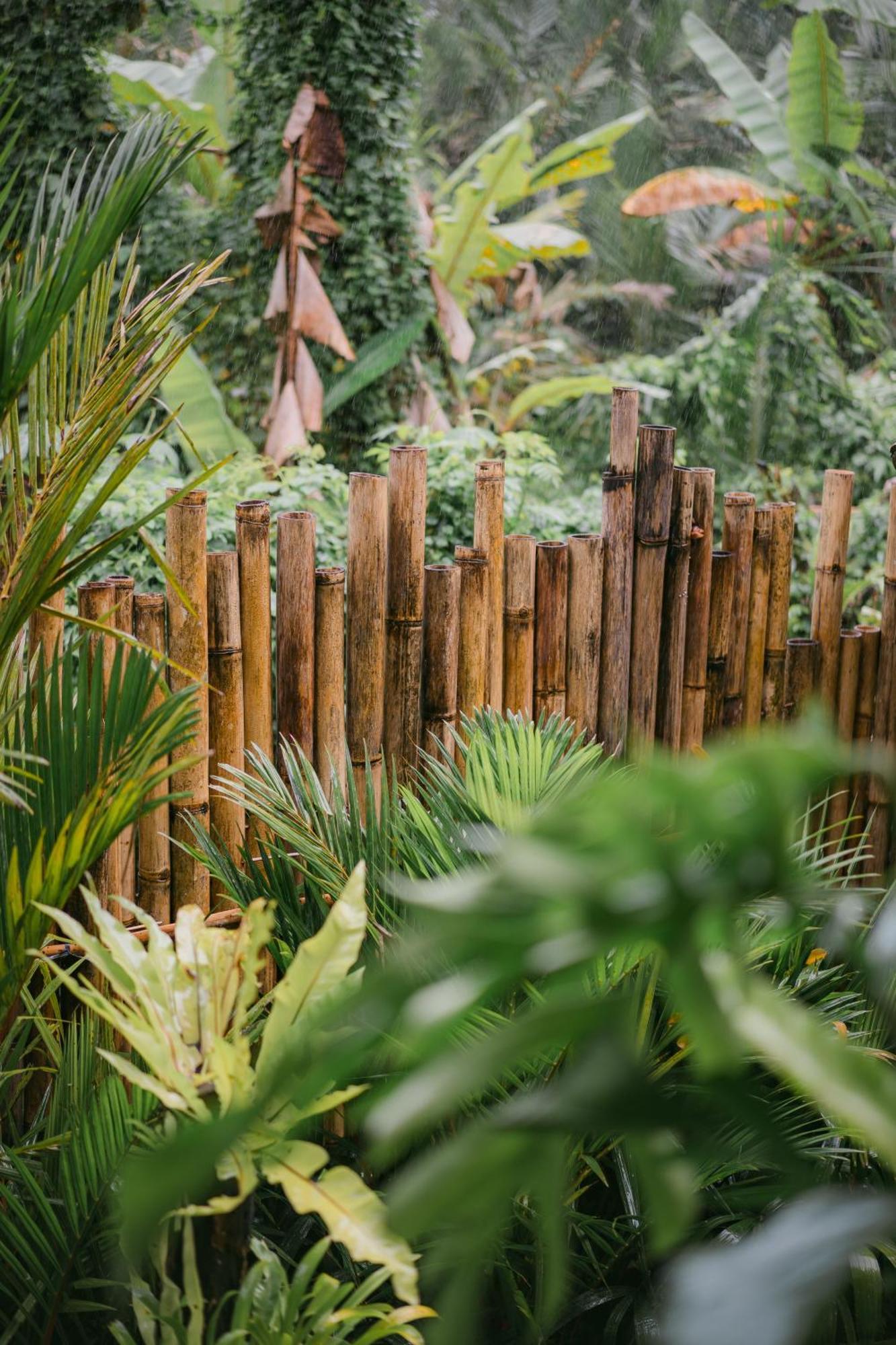 Alamvaya Bali Bamboo House Villa Sidemen  Dış mekan fotoğraf